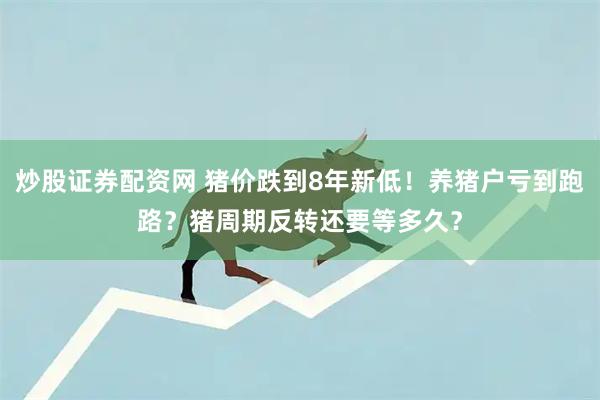 炒股证券配资网 猪价跌到8年新低！养猪户亏到跑路？猪周期反转还要等多久？